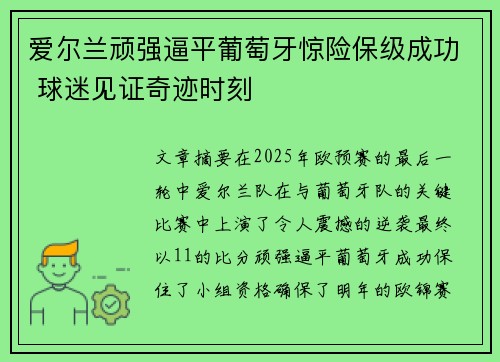爱尔兰顽强逼平葡萄牙惊险保级成功 球迷见证奇迹时刻